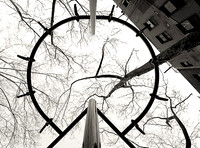 Untitled IV
